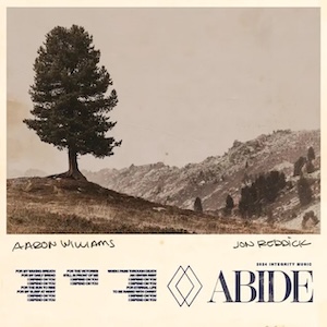 Aaron Williams Abide