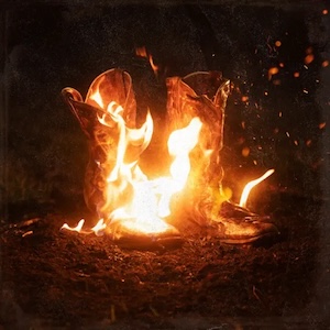 Walk Through Fire by Ben Fuller