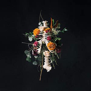 Elevation Worship Graves Into Gardens (Deluxe)