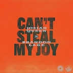 Can't Steal My Joy (feat. Brandon Lake) by Josiah Queen